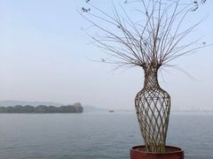 -浙江西子宾馆·瑶园咖啡厅