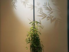 -溪畔•新徽菜(碧湖云溪店)