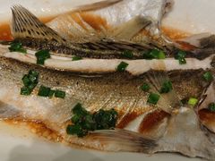 -舌尖上·霞浦滩涂海鲜·新闽菜(总店)