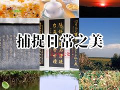 -天屿湖