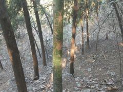 -云龙山
