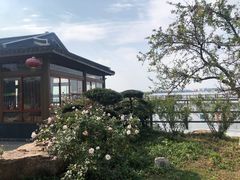 -鹅湖玫瑰文化园