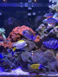 -Zoolung Zoolung动物主题公园(海信广场店)