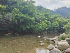 -象头山国家级自然保护区