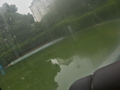 -星视野儿童近视弱视视力训练中心(富荟店)