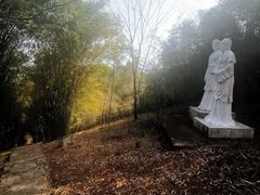 -潜山国家森林公园