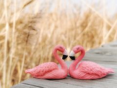 -野鸭湖国家湿地公园