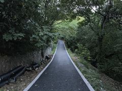 -平湖九龙山旅游度假区