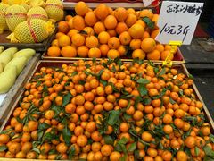 -红星农博物流中心