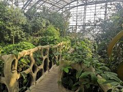 -南山植物园