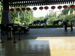 -麒麟中餐厅·经典粤菜·地道菜式老字号(广州长隆酒店)