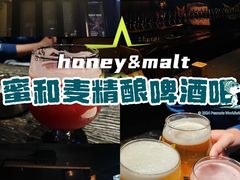 -蜜和麦精酿啤酒吧honey&malt(桐梓林店)