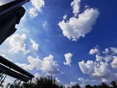 -长白岛森林公园
