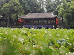 -房湖公园