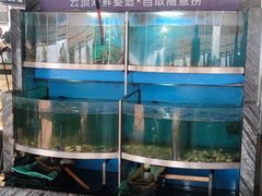 -云顶旋转自助景观餐厅