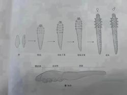 -蕾特恩专业祛痘·皮肤管理