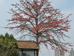 -喜洲吧·江畔老船厂·庭院餐厅(喜临院店)