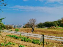 -飞凤山奥体公园