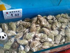 android_upload_pic-海滨假日渔家海鲜
