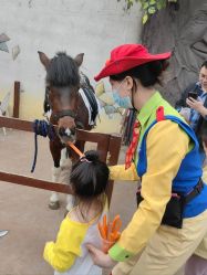 -宝燕乐园(闵行旗舰店)