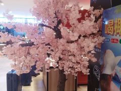 -远大购物中心(南岗店)