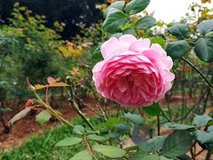 -人民公园(罗湖区)