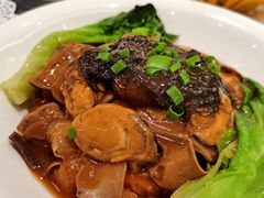 发菜蚝豉猪俐-天喜酒楼饭市·茶市(同德皇宫店)