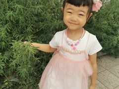 -呀路古热带植物园