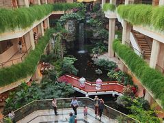 -广州白天鹅宾馆