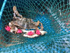 -宾朋海鲜美食餐厅·特色美食(兴海路店)