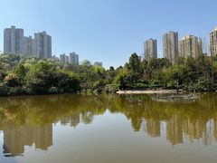 -龙头寺公园
