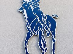 -Polo Ralph Lauren(青浦百联奥特莱斯广场店)