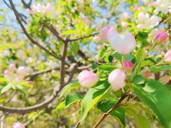 -野鸭湖国家湿地公园