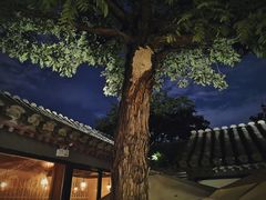 -SUSU·苏苏(四合院创始店)