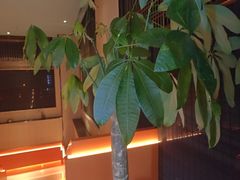 -臻品足道(佛祖岭店)