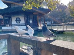 -西园戒幢律寺