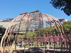 -布里斯班南岸公园