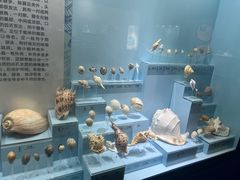 -温州博物馆