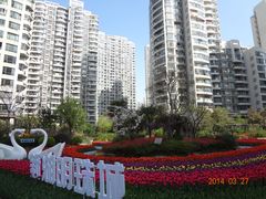 -新湖明珠城