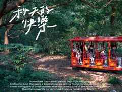 -上海共青森林公园