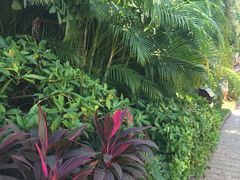 -厦门日月谷温泉渡假村