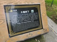 -大槐树寻根祭祖园