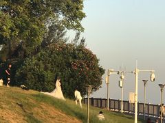 -黄金海岸环岛路