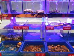 -小龍鳳·港式海鲜打边炉(沙湖路店)
