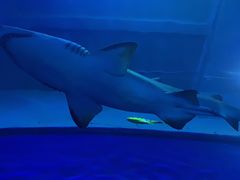 -成都浩海立方海洋公园