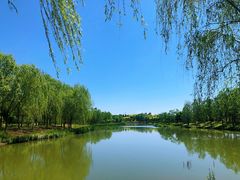 -东郊湿地公园