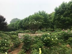 -幕燕滨江·长江观音景区