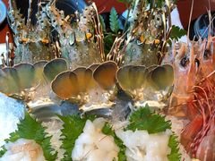 -初花·日本料理