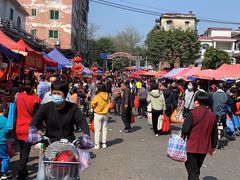 -细村农贸综合市场