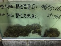 -海盗餐厅
